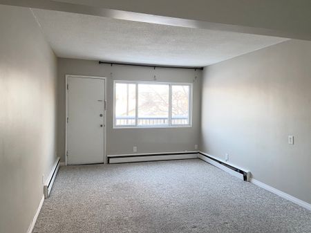 Sorrento Manor - Photo 5