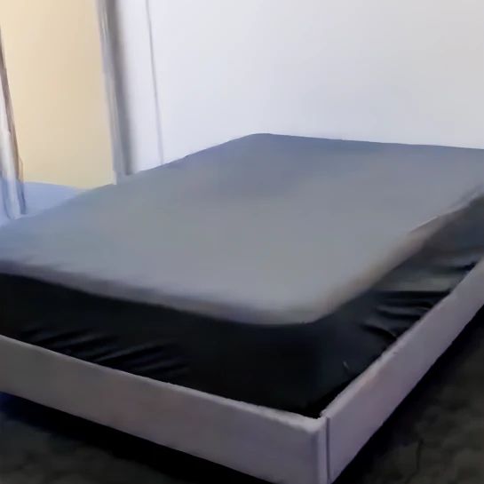 1 bed 1 bath - Photo 1