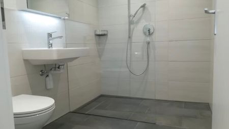 4½ Zimmer-Wohnung in Schachen (LU), möbliert, auf Zeit - Photo 4