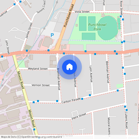 9 Septimus Avenue, Punchbowl, NSW 2196