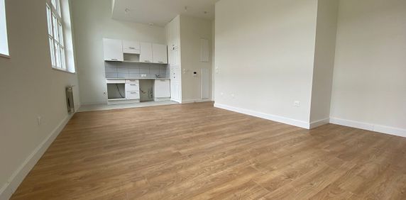 ROUBAIX - Appartement Roubaix 2 pièce(s) 48.50 m2 - Photo 2