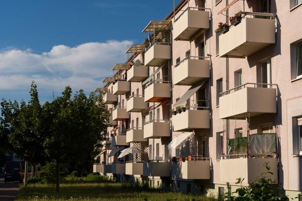 Familien aufgepasst! Frisch sanierte 4 Raum-Wohnung zum Wohlfühlen - Photo 1
