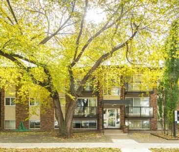 Natalie Place - Photo 5
