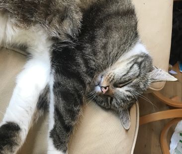 Sunnanväg, Lund - Photo 1