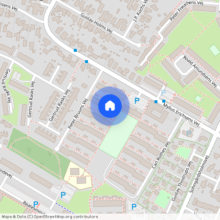 Peter Bruuns Vej 65 1 1, 9210 Aalborg SØ