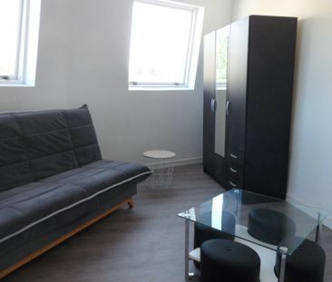 LOCATION APPARTEMENT - FACHES THUSMESNIL - Photo 3