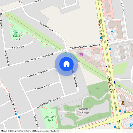 65 Jordanray Boulevard Unit# Basement, Newmarket