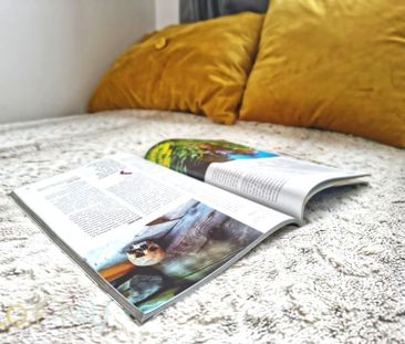 Pokój, ul. Ścigały - Zdjęcie 1