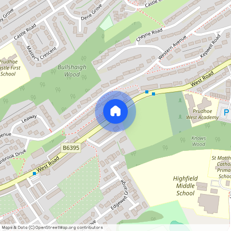 Beech Grove, Prudhoe, NE42