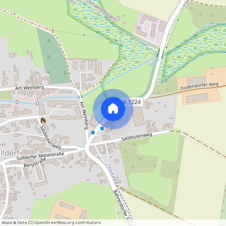 39171 Sachsen-Anhalt - Sülldorf