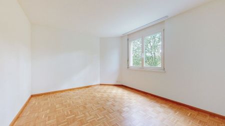 Make your dream of having your own garden come true - Photo 3