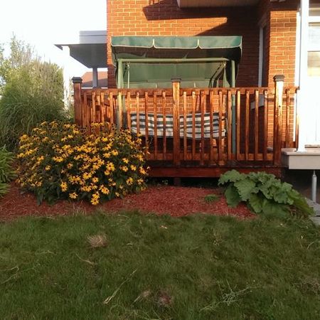 Grand 3.5 a louer A Granby 1er Juillet - Photo 3