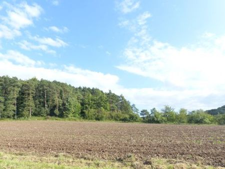 Schicke, möblierte 2-Zimmer-Mietwohnung mit herrlichem Blick in 97720 Nüdlingen / Bad Kissingen (ID 1311) - Foto 2