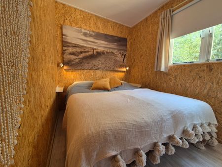 Vakantiehuis op kleinschalig park in Ouddorp - Foto 4