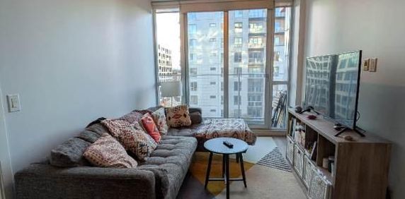 Cession de bail - 3 1/2 - Ville-Marie (Sud du Village) - Photo 2