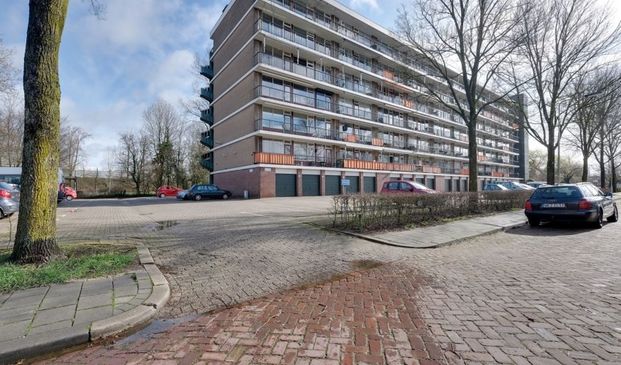 Matenalaan 0ong, 6825 DG Arnhem, Nederland - Foto 1