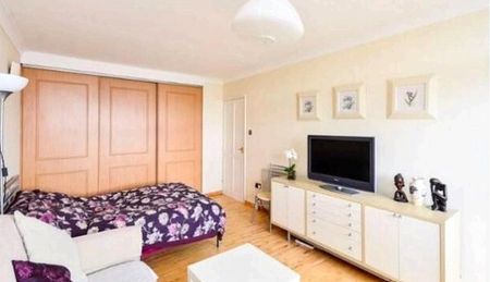 Westminster, Regency Street, London, SW1P flat to rent - Photo 5