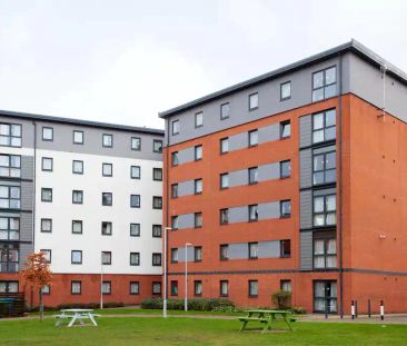 Premium Plus Studio - Photo 5