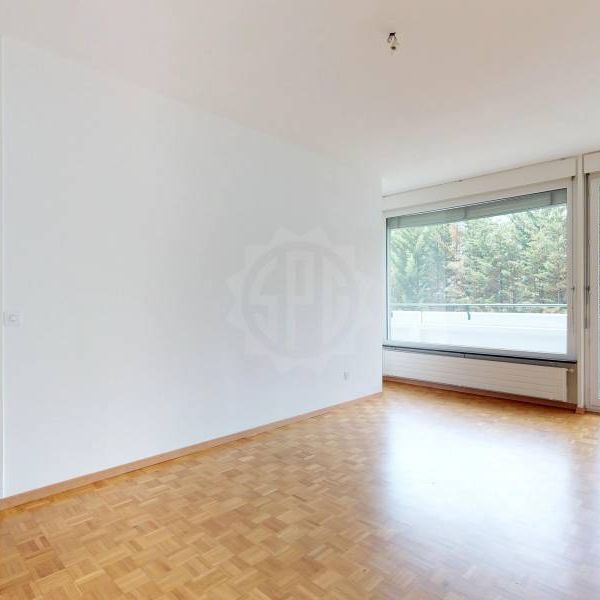 Bel appartement – Genève - Foto 1