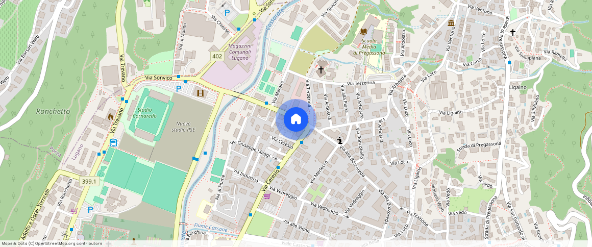 Via alla Bozzoreda **, 6963, Pregassona