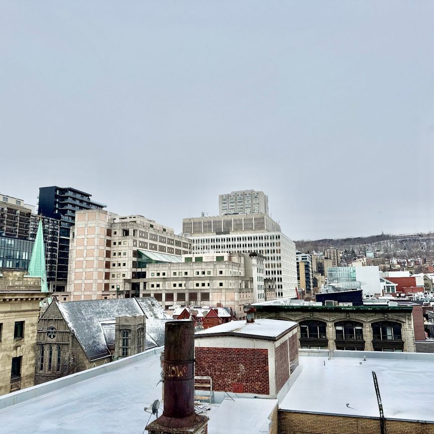 Appartement à louer, Montréal (Ville-Marie) - Photo 1