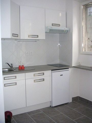 Location Appartement 2 pièces 25m² - Photo 3