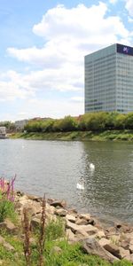 Helle City-Wohnung mit Balkon, Tageslichtbad und Wohnküche - Photo 4