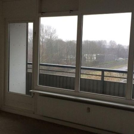 Rümkelaan, 3571 XZ Utrecht, Nederland - Foto 4