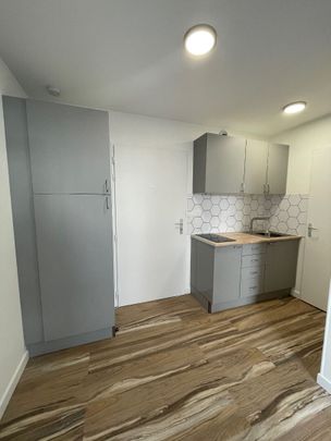 Location Appartement 2 pièces 24m² RENNES 35000 - Photo 1
