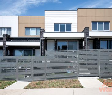 11/1 Sutherland Crescent, Taylor ACT 2913 - Townhouse For Rent | Do... - Photo 3