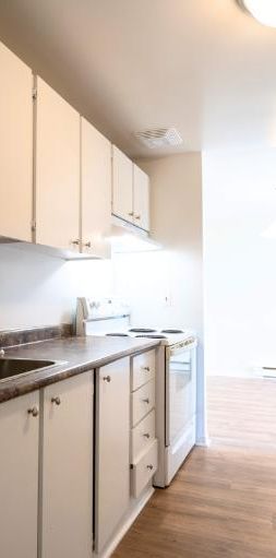 1 CH - 1 SDB - Gatineau - $1,395 /mo - Photo 1