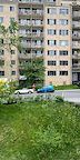 3605 Av. Ridgewood, Montréal - Photo 4