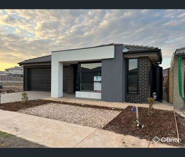 12 Nebula Court, Fraser Rise, Vic 3336 - Photo 4