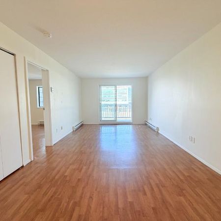 Appartement 3 ½ à louer Sainte-Foy / Sillery août 2027 - Photo 3