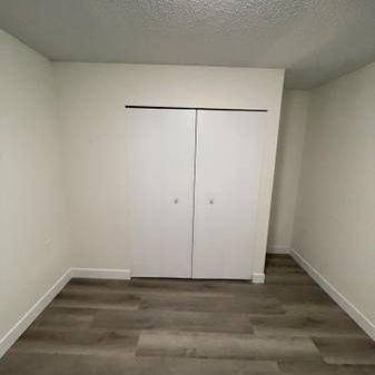 Newly Renovated, Open Concept 2 Bedroom Suite in Mount Pleasant - Photo 4