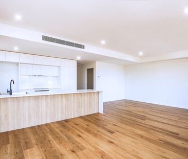 203/425 David Street, Albury NSW 2640 - Townhouse For Rent | Domain - Photo 3