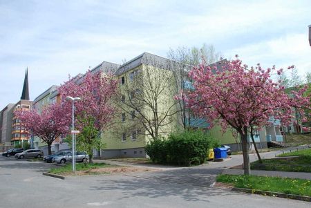 Hübsche 3-Raum-Wohnung in begrünter Umgebung - Foto 4