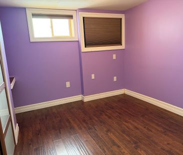 For Lease - 85 Franklin Street Unit# Lower, Newmarket, Ontario - Photo 3