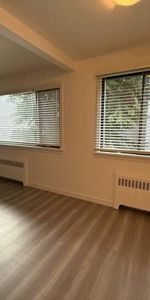 RENOVATED 1 BED/1 BATH APT AT W 13TH & GRANVILLE - Photo 3