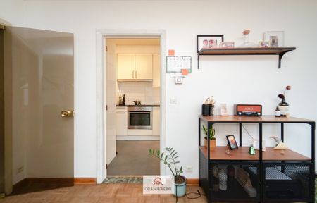 Ruim appartement in hartje Gent - Foto 4