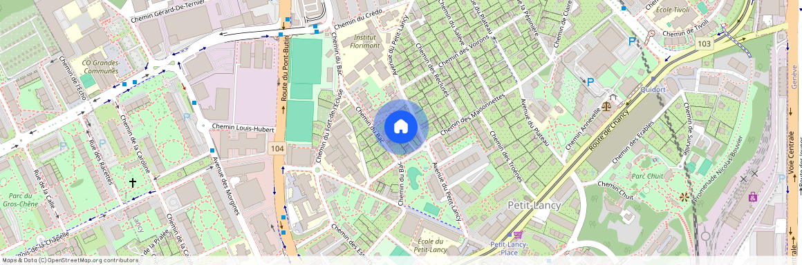 48B Chemin des Maisonnettes, 1213 PETIT-LANCY