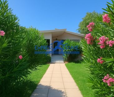 Μονοκατοικία για ενοικίαση Άγιος Παντελεήμονας (Μαραθώνας) - Φωτογραφία 4