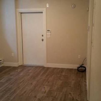 2 bedroom basement suite $1750 including utilities & 1 small car parking - Photo 3