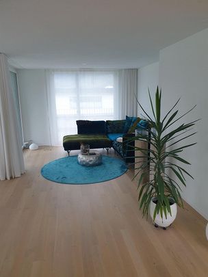 4.5-Zimmer Attikawohnung - Foto 1