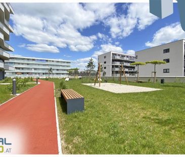 Provisionsfrei für den MIETER! Lenauterrassen - NEUBAU | 2-Zimmer-W... - Photo 6