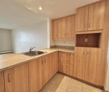 Appartement 3 ½ à louer Montcalm / Saint-Sacrement juillet 2026 - Photo 4