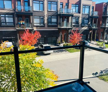 For Lease - 271 Dalhousie Street, Vaughan, Ontario - Photo 4