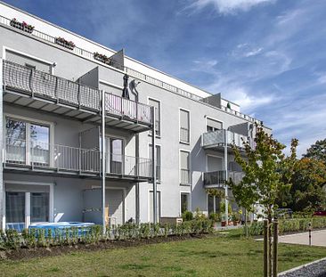 Traumhafte 2-Zimmer-Wohnung in Sennestadt mit Dachterrasse - Foto 1