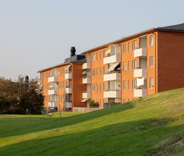 Pilegården 10B - Foto 6