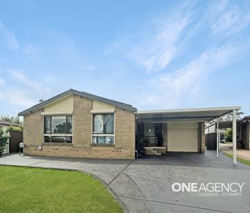 11 Netherton Avenue - Photo 6